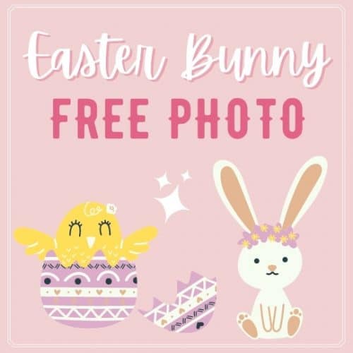 Meet the Easter Bunny! Sherman Oaks Galleria