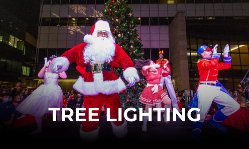 Tree Lighting