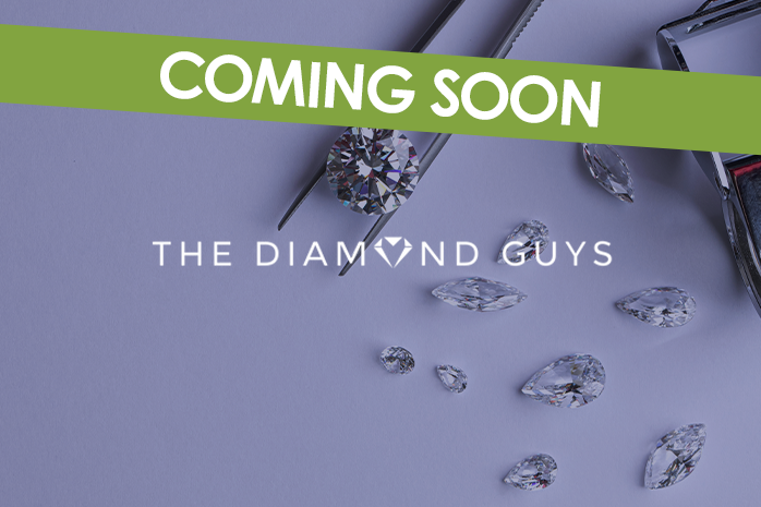 The Diamond Guys